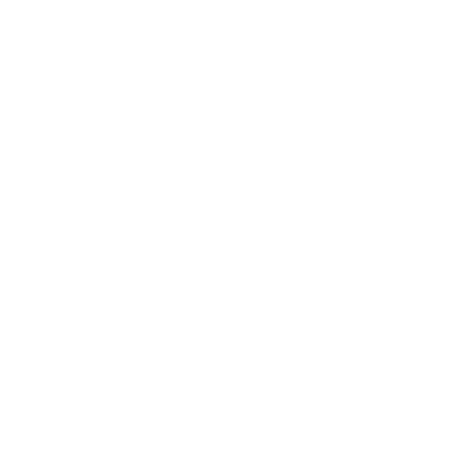 AI Expertise