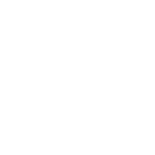 Human Insight